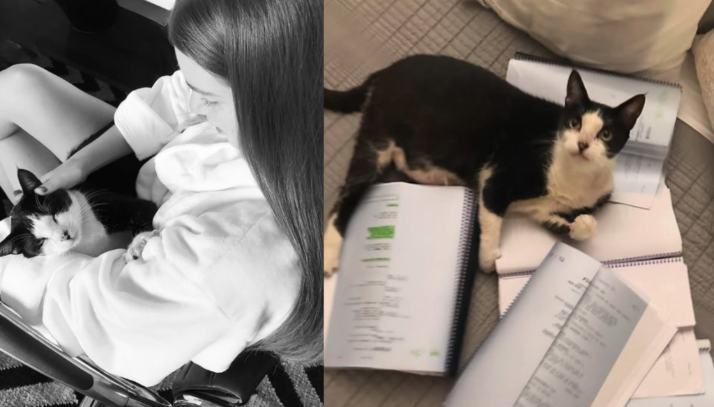 Maria Ruy Barbosa e seu gato. (Créditos: Reprodução / @marinaruybarbosa)