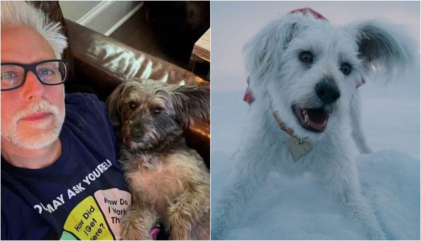 Krypto, cachorro do Superman em novo filme, é na verdade o pet do diretor