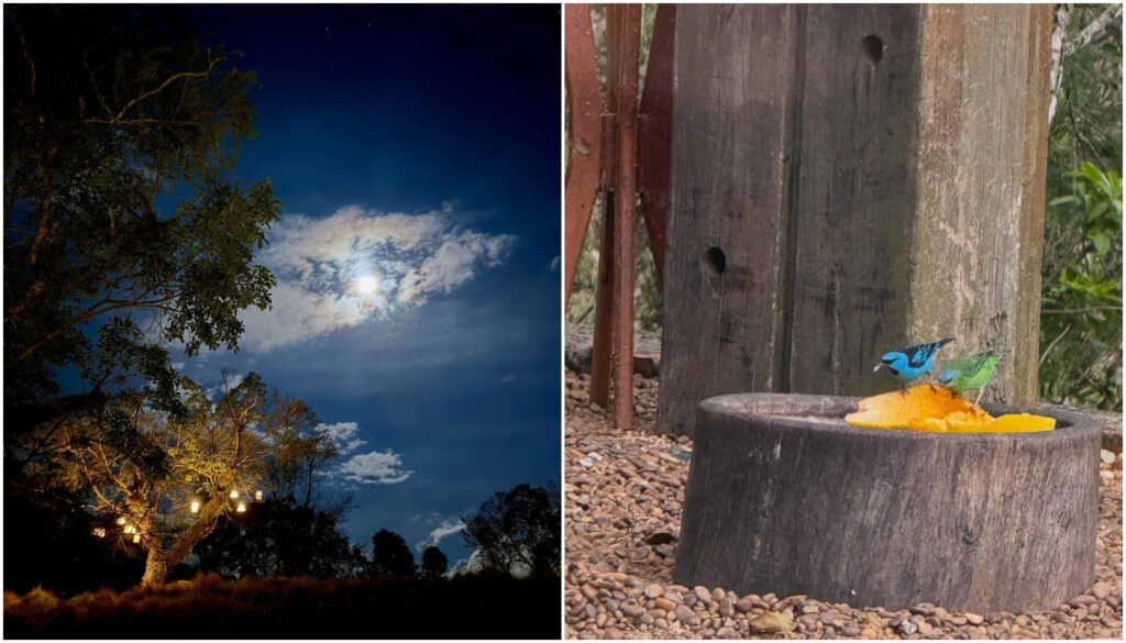 Esposa de William Bonner mostra como está a vida dele após deixar o JN