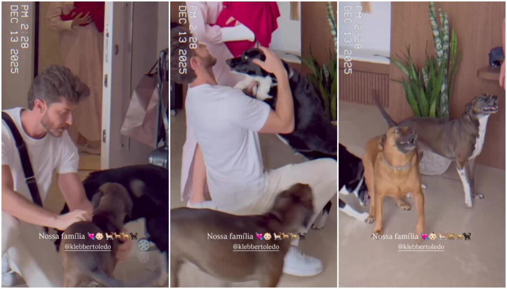 Depois de anunciar a chegada da filha, Camila Queiroz e Klebber Toledo mostram os cachorros da família conhecendo Clara