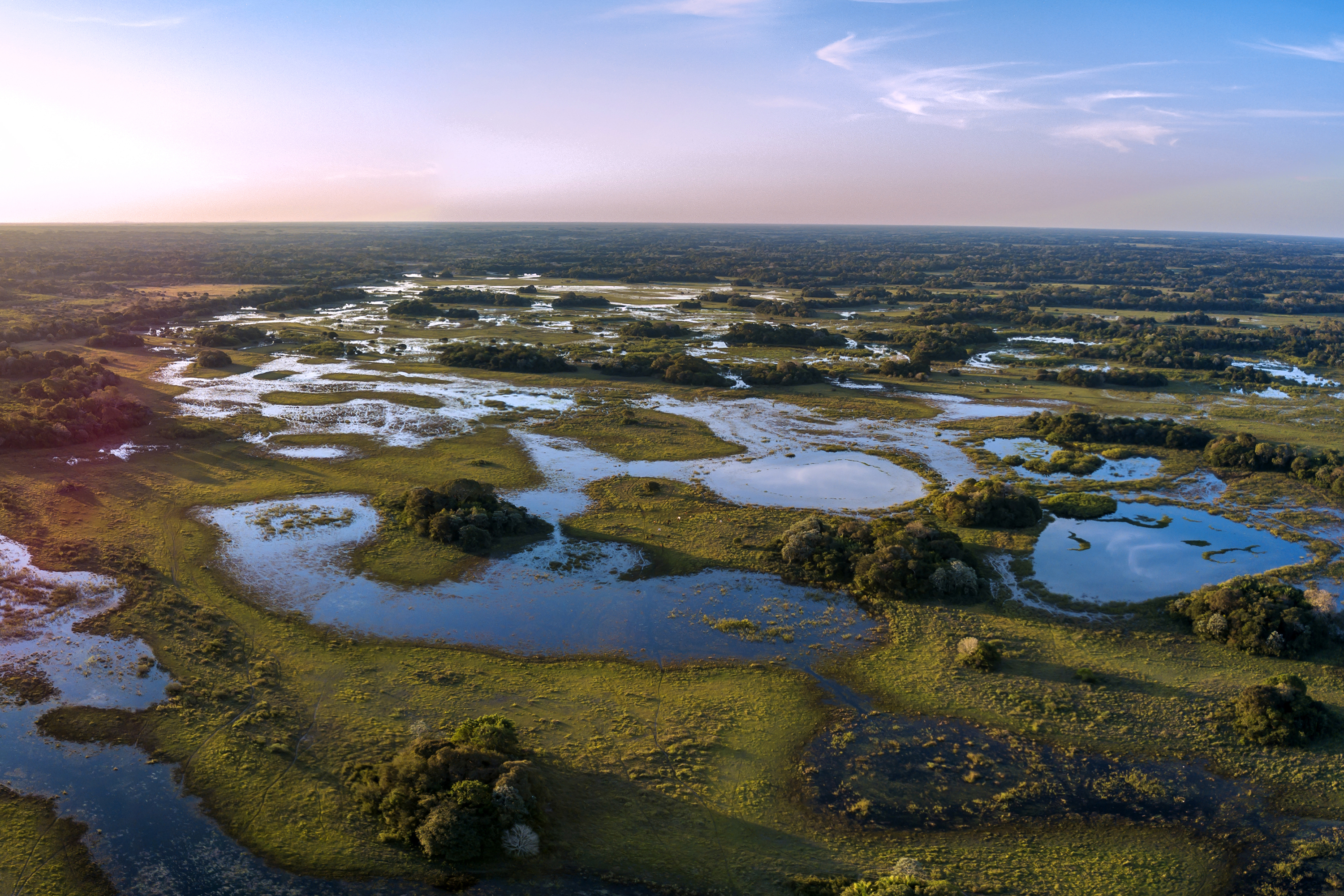 Pantanal photographed in Corumbá, Mato Grosso do Sul. Pantanal Biome. Picture made in 2017.