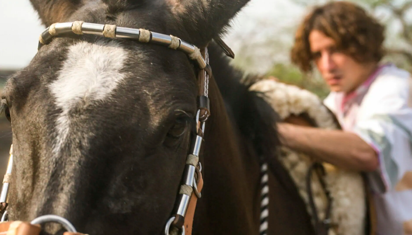 Jove tenta montar cavalo em