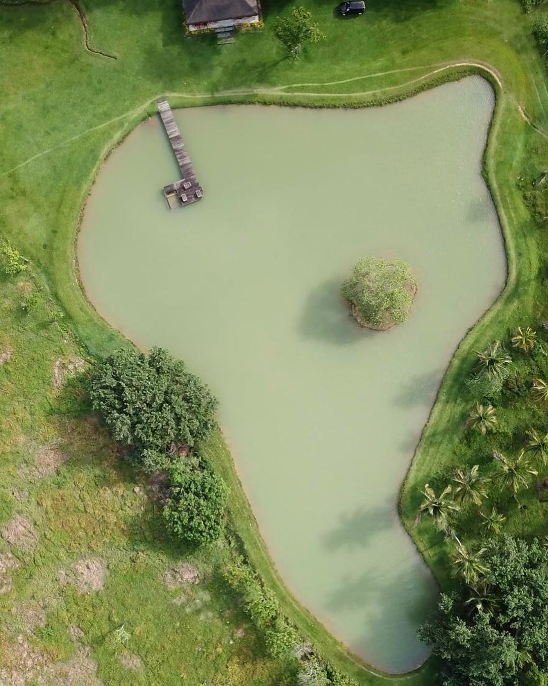 Sítio de Luiz Fernando Guimarães tem lago que simboliza continente africano